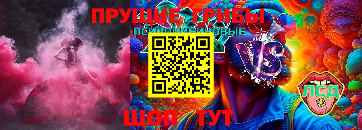Псилоцибиновые грибы Psilocybe  Псилоцибиновые грибы Psilocybe  Вход с VPN  Мурино 